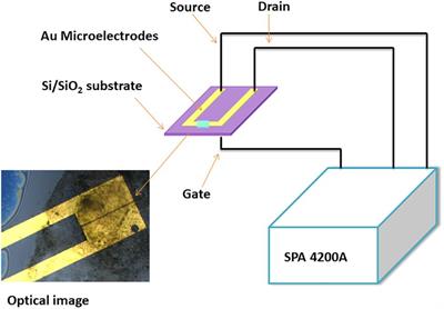Sulfur Dioxide (SO2) Detection Using Composite of Nickel Benzene Carboxylic (Ni3BTC2) and OH-Functionalized Single Walled Carbon Nanotubes (OH-SWNTs)